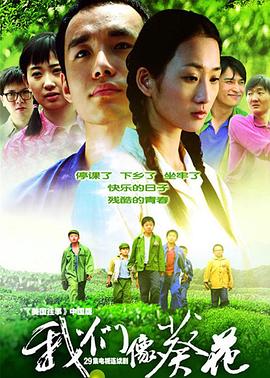 我们像葵花 第03集