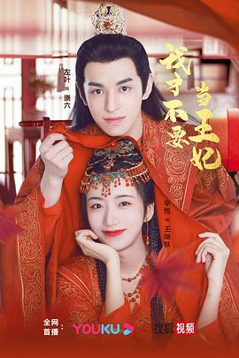 我才不要当王妃 第08集