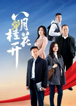 八月桂花开 第02集