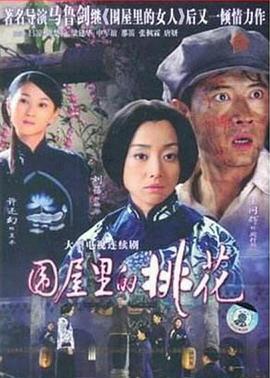 围屋里的桃花 第03集