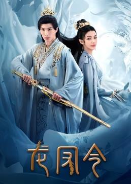龙凤令 第06集