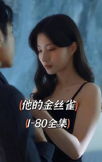 他的金丝雀 第02集