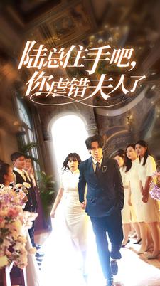 陆总住手吧，你虐错夫人了 第03集