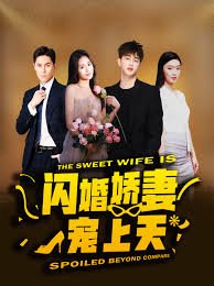 闪婚娇妻宠上天 第05集